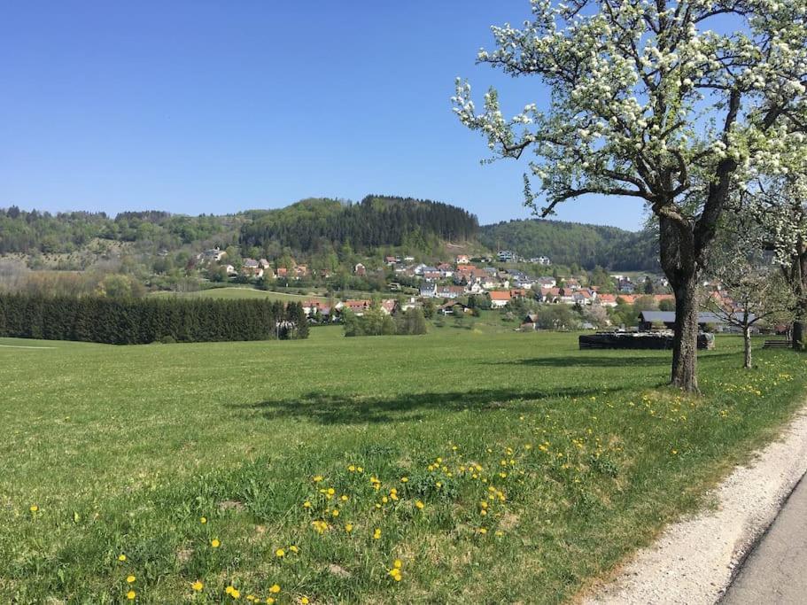 Ferienwohnung Albliebe Messstetten Kültér fotó